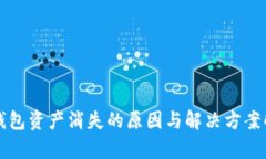 TP钱包资产消失的原因与解决方案解析