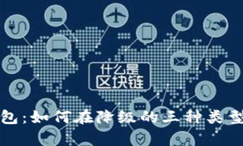 全面解析数字钱包:如何在降级的三种类型中选择最佳方案