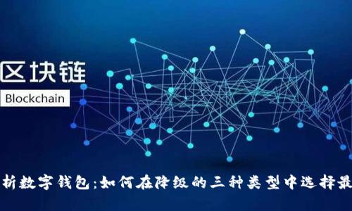 全面解析数字钱包:如何在降级的三种类型中选择最佳方案