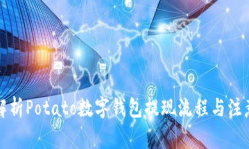 全面解析Potato数字钱包提现流程与注意事项