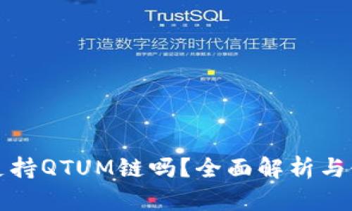 TP钱包支持QTUM链吗?全面解析与使用指南