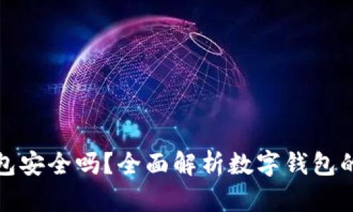 钱转到数字钱包安全吗?全面解析数字钱包的安全性与风险