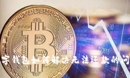 数字钱包如何解决无法还款的问题