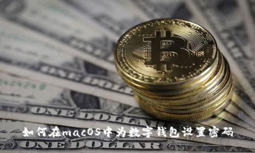 如何在macOS中为数字钱包设置密码