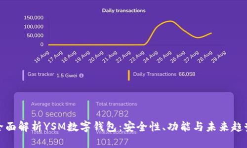 全面解析YSM数字钱包:安全性、功能与未来趋势
