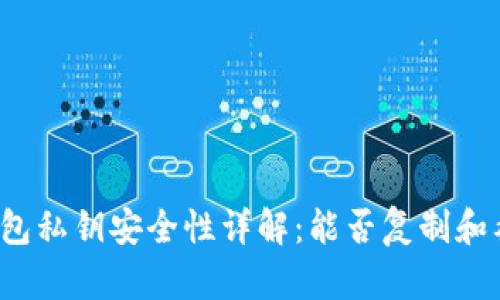 TP钱包私钥安全性详解:能否复制和截图?