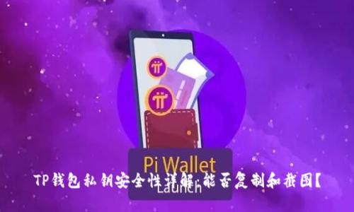 TP钱包私钥安全性详解:能否复制和截图?