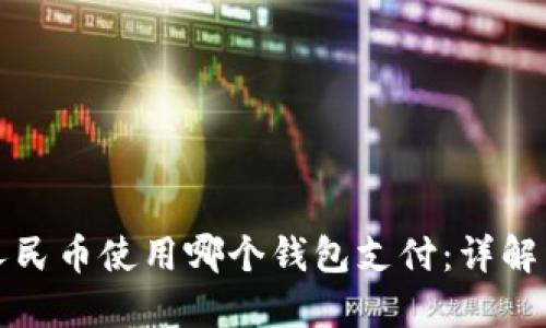 数字人民币使用哪个钱包支付:详解与推荐