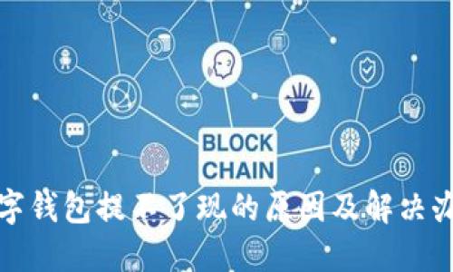 数字钱包提不了现的原因及解决办法
