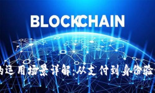 区块链钱包的运用场景详解:从支付到身份验证的多维应用