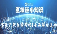 支付宝数字资产钱包有用吗?全面解析其功能与