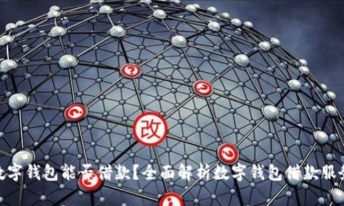 数字钱包能否借款?全面解析数字钱包借款服务