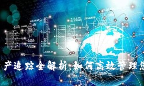 区块链钱包资产追踪全解析:如何高效管理您的数字资产?
