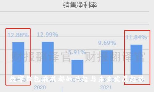 数字钱包在成都的兴起与未来发展趋势