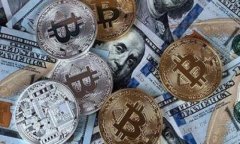 探索数字能量钱包:提升你财务管理的新方式