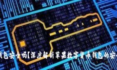 苹果数字货币钱包安全吗?深度解析苹果数字货