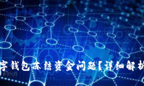 如何解决数字钱包冻结资金问题?详细解析与应对策略