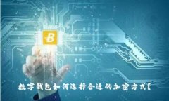 数字钱包如何选择合适的加密方式?