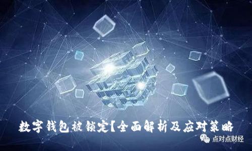 数字钱包被锁定?全面解析及应对策略
