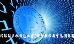 如何解锁手机钱包加密?详细教程与常见问题解
