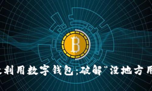 如何有效利用数字钱包:破解“没地方用”的困境