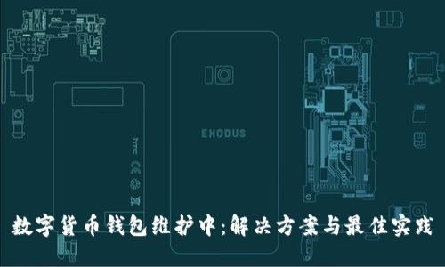 数字货币钱包维护中：解决方案与最佳实践