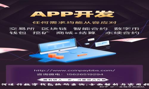 如何进行数字钱包编码查询:全面解析与实用指南