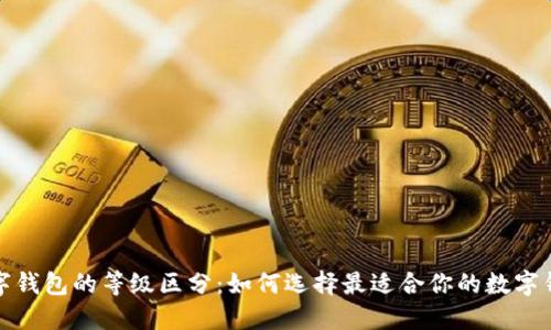 数字钱包的等级区分:如何选择最适合你的数字钱包