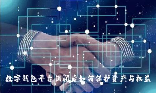 数字钱包平台倒闭后如何保护资产与权益
