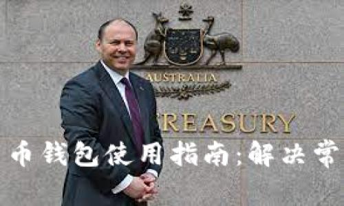 加密货币钱包使用指南:解决常见问题