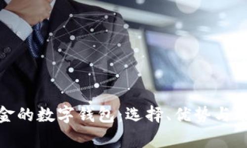 探讨收取美金的数字钱包:选择、优势与常见问题解答