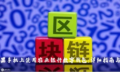 如何在苹果手机上使用农业银行数字钱包:详细指南与常见问答
