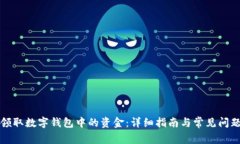 如何领取数字钱包中的资金:详细指南与常见问