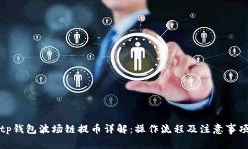 tp钱包波场链提币详解:操作流程及注意事项
