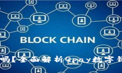 Qpay数字钱包安全吗?全面解析Qpay数字钱包的安全性与风险