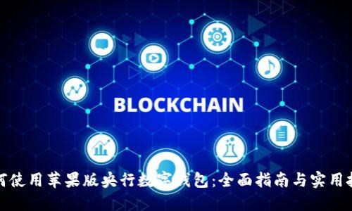 如何使用苹果版央行数字钱包:全面指南与实用技巧