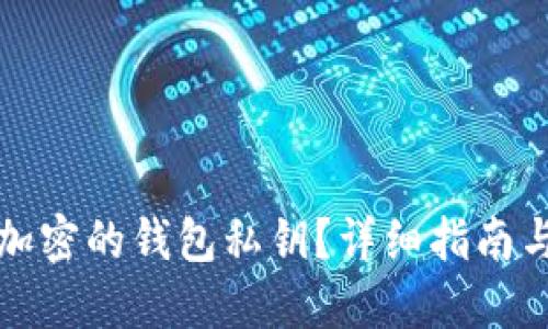 如何解除加密的钱包私钥?详细指南与解决方案