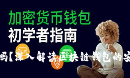 区块链钱包安全吗?深入解读区块链钱包的安全性与防护措施