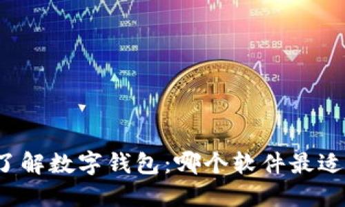 深入了解数字钱包:哪个软件最适合你?