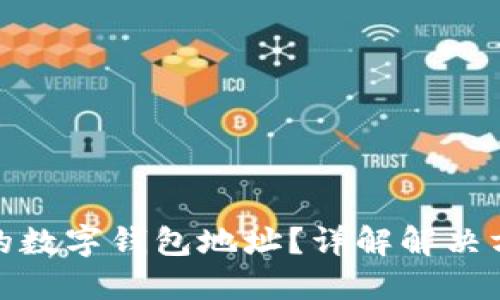 如何找回丢失的数字钱包地址?详解解决方案与预防措施
