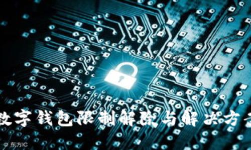 兴业数字钱包限制解除与解决方案详解