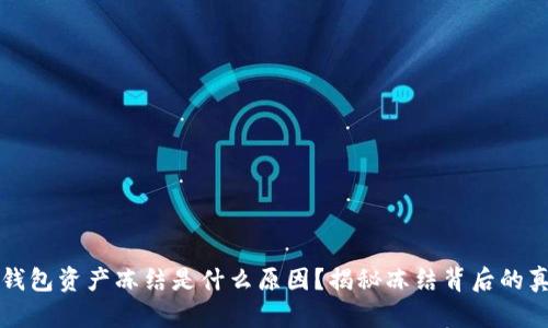 TP钱包资产冻结是什么原因?揭秘冻结背后的真相