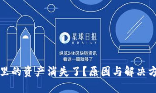 TP钱包里的资产消失了?原因与解决方案详解