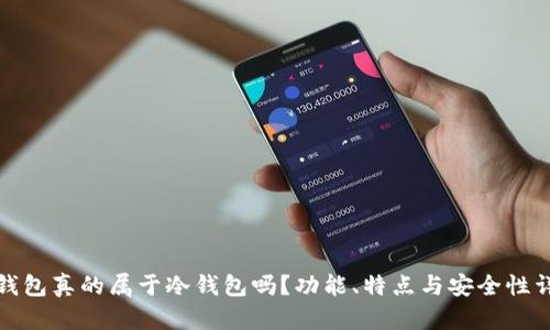 TP钱包真的属于冷钱包吗?功能、特点与安全性详解