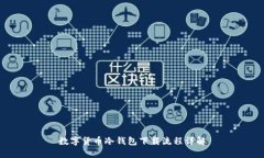 数字货币冷钱包下载流程详解