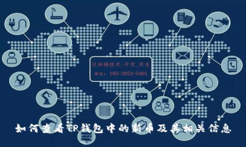 如何查看TP钱包中的新币及其相关信息
