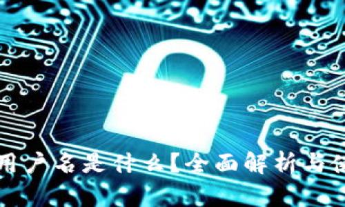TP钱包用户名是什么？全面解析与使用指南
