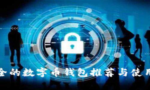 最安全的数字币钱包推荐与使用指南