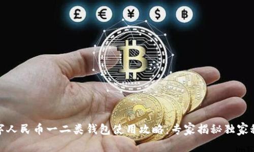 数字人民币一二类钱包使用攻略:专家揭秘独家秘诀