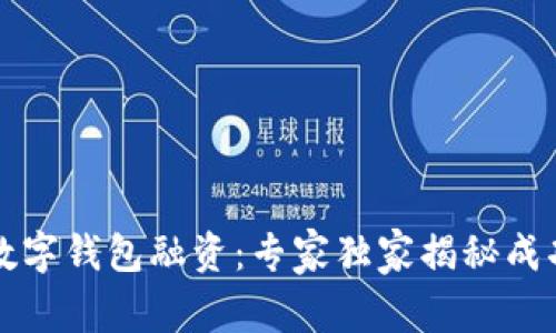 美国数字钱包融资:专家独家揭秘成功秘诀